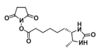 Desthiobiotin NHS Ester；80750-24-9；脱硫生物素-琥珀酰亚胺酯