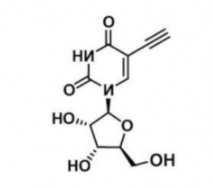 5-Ethynyl-uridine，69075-42-9，5-乙炔基尿苷
