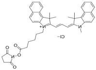 sulfo CY3.5 NHS；水溶性花青素CY3.5活性酯；Sulfo-Cy3.5 NHS ester