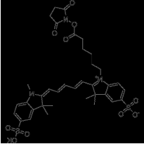 Sulfo-Cy3 NHS ester;磺化Cy3活化酯 Sulfo-Cy3 NHS ester;磺化Cy3活化酯