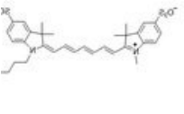 sulfo Cy7 alkyne；2183440-55-1；磺化Cy7炔烃
