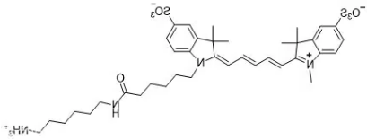 Sulfo Cy5 NH2；磺酸基-Cy5-氨基；Sulfo Cy5 amine