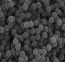 聚苯乙烯微球50nm；polystyrene microsphere