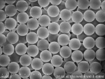 单分散聚苯乙烯微球80nm；PS纳米颗粒80nm