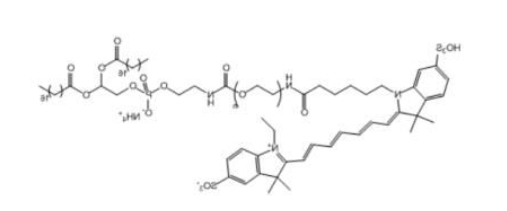  Cy7-PEG-DSPE，Cy7-聚乙二醇-磷脂， Cy7-聚乙二醇-二硬脂酰基磷脂酰乙醇胺