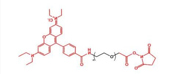 罗丹明聚乙二醇活性酯 RB-PEG-NHS 罗丹明聚乙二醇活性酯 RB-PEG-NHS