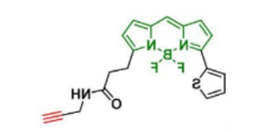 BDP 558/568 Alkyne，分子量 383.22