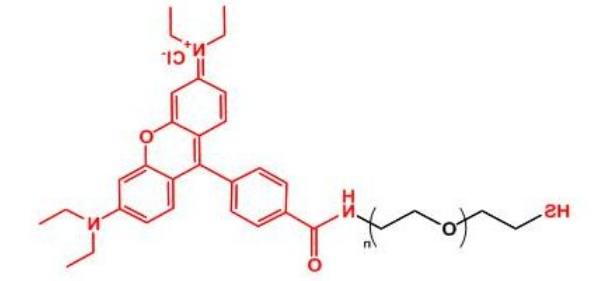 罗丹明聚乙二醇巯基 Rhodamine-PEG-SH 罗丹明聚乙二醇巯基 Rhodamine-PEG-SH