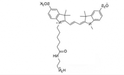 diSulfo-Cy3 C2 amine/磺酸基Cy3-C2-氨基