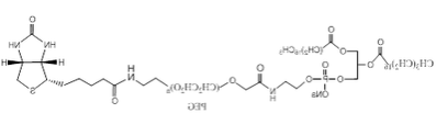 磷脂-聚乙二醇-生物素 自组装PEG脂质体 DSPE-PEG-Biotin 磷脂-聚乙二醇-生物素 自组装PEG脂质体 DSPE-PEG-Biotin
