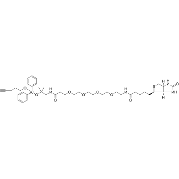 2241685-22-1	Biotin-PEG4-amino-t-Bu-DADPS-C3-alykne PROTAC(蛋白降解靶向嵌合体)