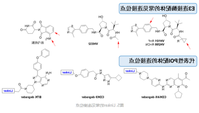 DSPE-PEG9-SH DSPE-PEG9-SH