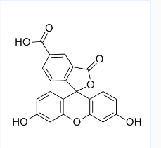 5-FAM；5-羧基荧光素；CAS号：76823-03-5