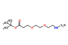 Methylamino-PEG2-Boc 