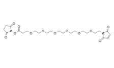    Mal-PEG6-NHS ester 
