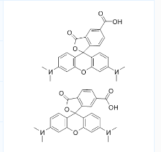 CAS号:98181-63-6;5(6)-TAMRA;5(6)-羧基四甲基罗丹明 CAS号:98181-63-6;5(6)-TAMRA;5(6)-羧基四甲基罗丹明
