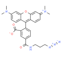 TAMRA azide, 5-isomer 