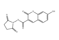 CAS号：134471-24-2；7-羟基香豆素-3-羧酸琥珀酰亚胺酯
