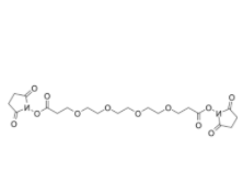 Bis-PEG4-NHS ester 