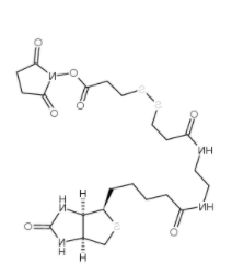 NHS-SS-(+)-Biotin NHS-SS-(+)-Biotin