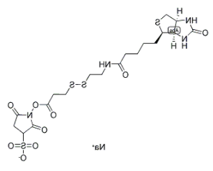 NHS-SS-biotin NHS-SS-biotin