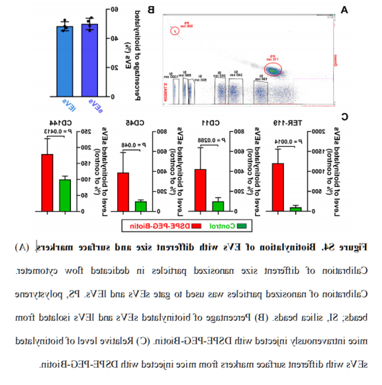 DSPE-PEG-Biotin结合亲和素分子制备脂质体用于超声研究