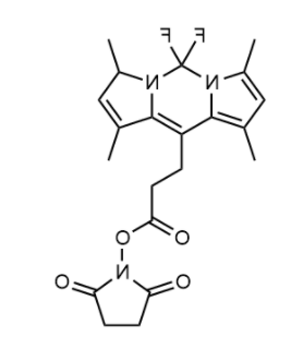 BODIPY 493/503 NHS ester BODIPY 493/503 NHS ester