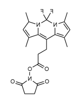 BODIPY 493/503 NHS 活化酯 BODIPY 493/503 NHS 活化酯