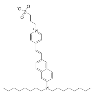 Di-8-ANEPPS Di-8-ANEPPS