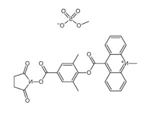 吖啶盐(DMAE-NHS) 吖啶盐(DMAE-NHS)