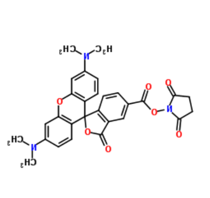 5(6)-羧基四甲基罗丹明琥珀酰亚胺酯 5(6)-羧基四甲基罗丹明琥珀酰亚胺酯