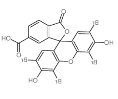 6-fam 