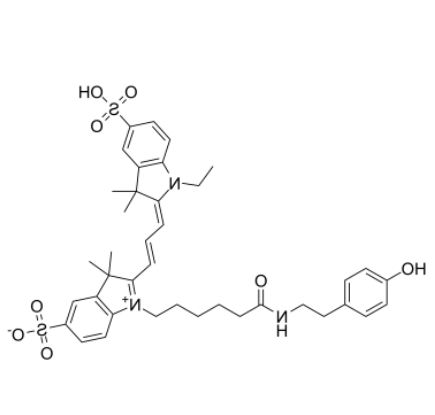 Cyanine 3 Tyramide Cyanine 3 Tyramide