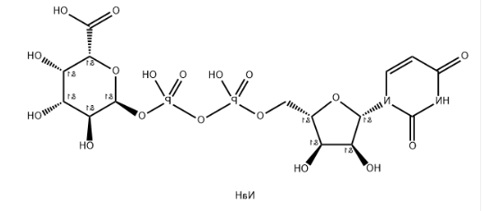 CAS号：148407-07-2，UDP-galacturonic acid，UDP-GalA