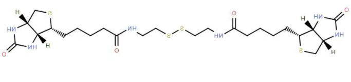 双生物素半胱胺 双生物素半胱胺