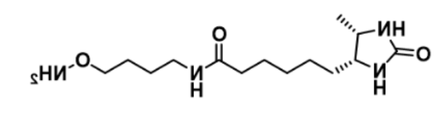 Desthiobiotin-C4-oxyamine Desthiobiotin-C4-oxyamine