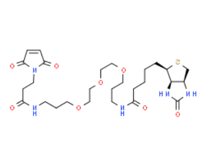 生物素-PEG3-马来酰亚胺 生物素-PEG3-马来酰亚胺