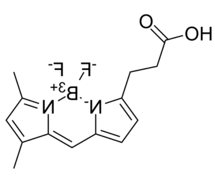 3-Bodipy-propanoic Acid 