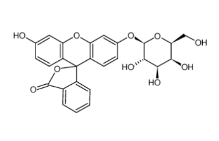 荧光黄单-β-D-半乳糖苷 荧光黄单-β-D-半乳糖苷