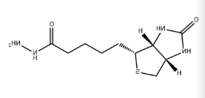 Biotin-hydrazide-HCl