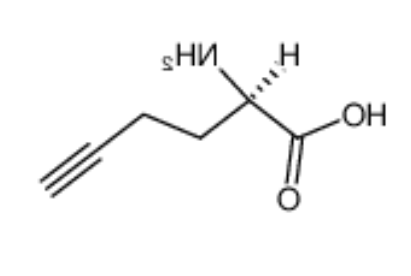 L-Homopropargylglycine L-Homopropargylglycine