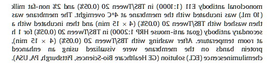 DSPE-PEG2000-DBCO