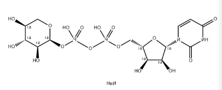 CAS号108320-89-4，3616-06-6，UDP-Xylose，UDP-Xyl，UDP-木糖.png