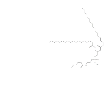 MPEG-DSPE MPEG-DSPE