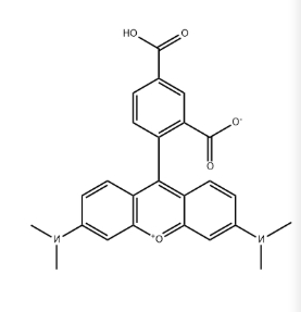5-TAMRA，CAS号91809-66-4.png