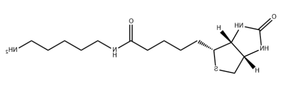 生物素酰胺
