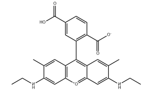 6-Rhodamine 6G COOH 6-Rhodamine 6G COOH