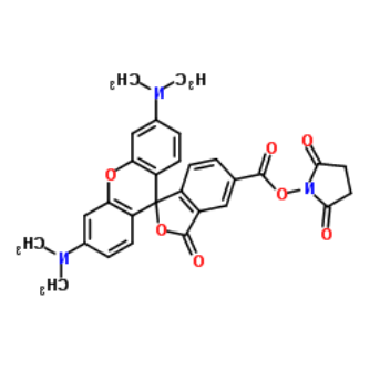 NHS-5(6)Carboxyrhodamine NHS-5(6)Carboxyrhodamine