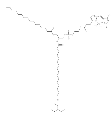 BODIPY FL-DHPE BODIPY FL-DHPE