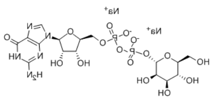 GDP-Mannose GDP-Mannose